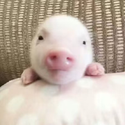 ♂温暖