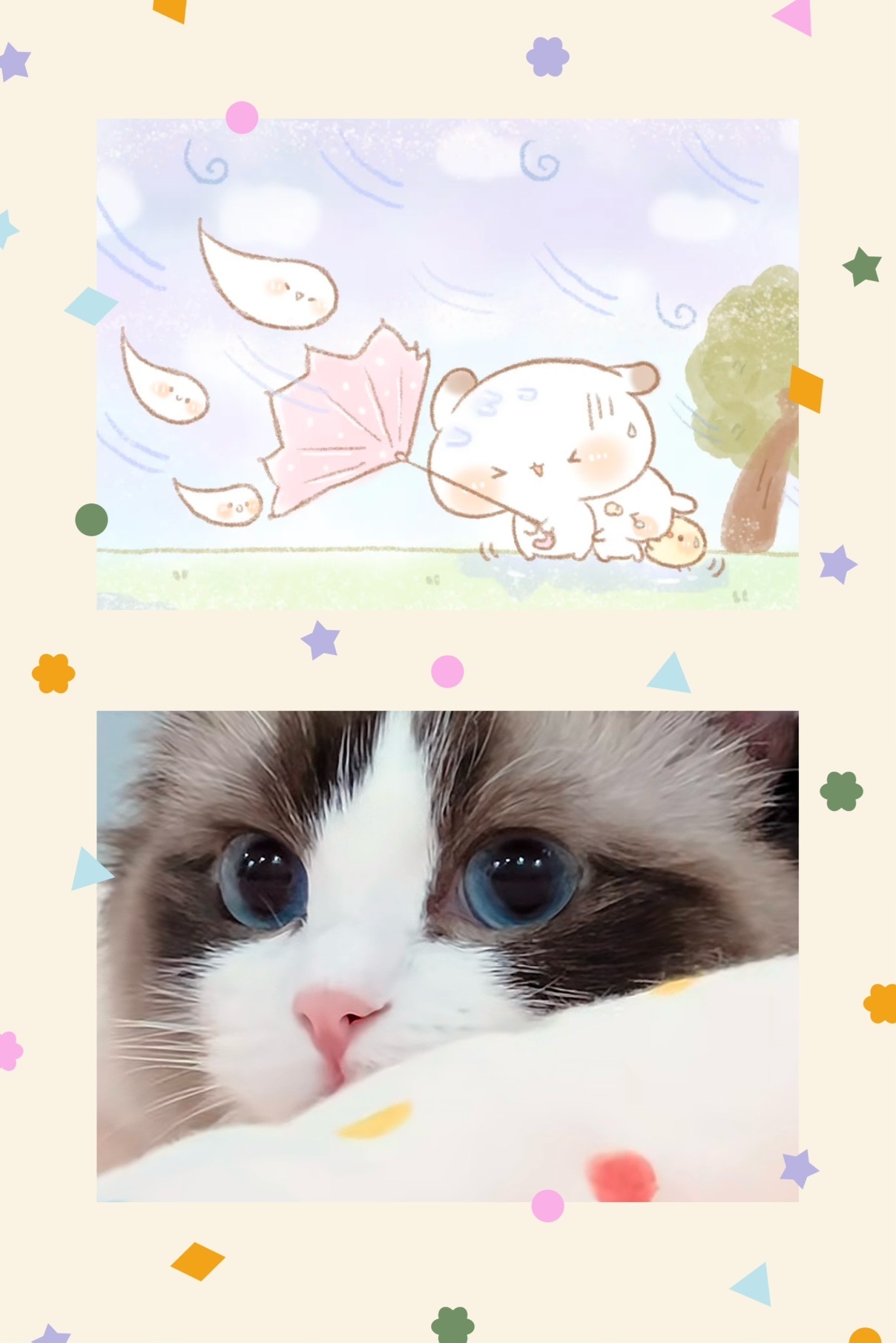 云浅浅koi💗的图片