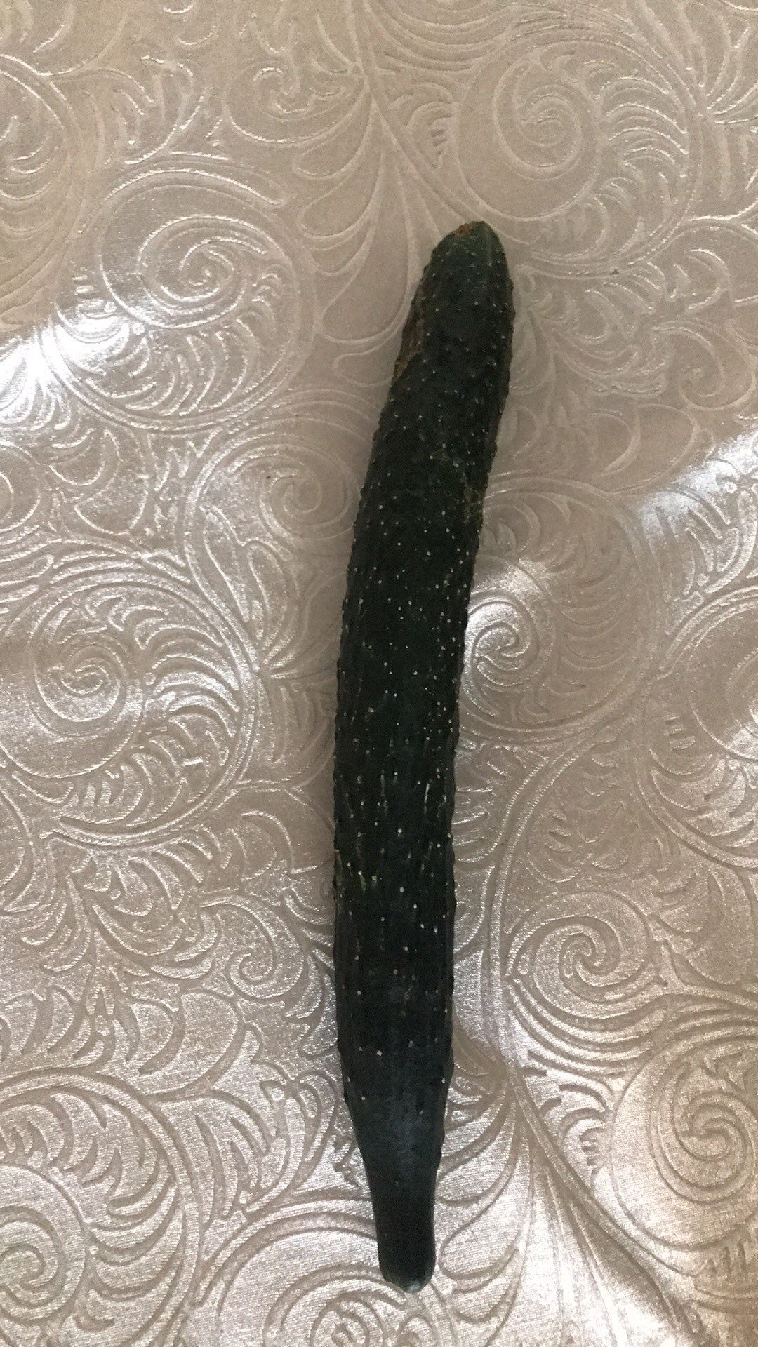 鱼姬🐟早四点半播的图片