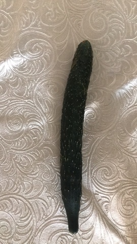 静珍🎵老歌老酒主播照片