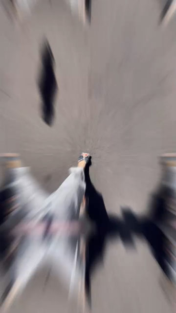 一边努力💪一边快乐🎊