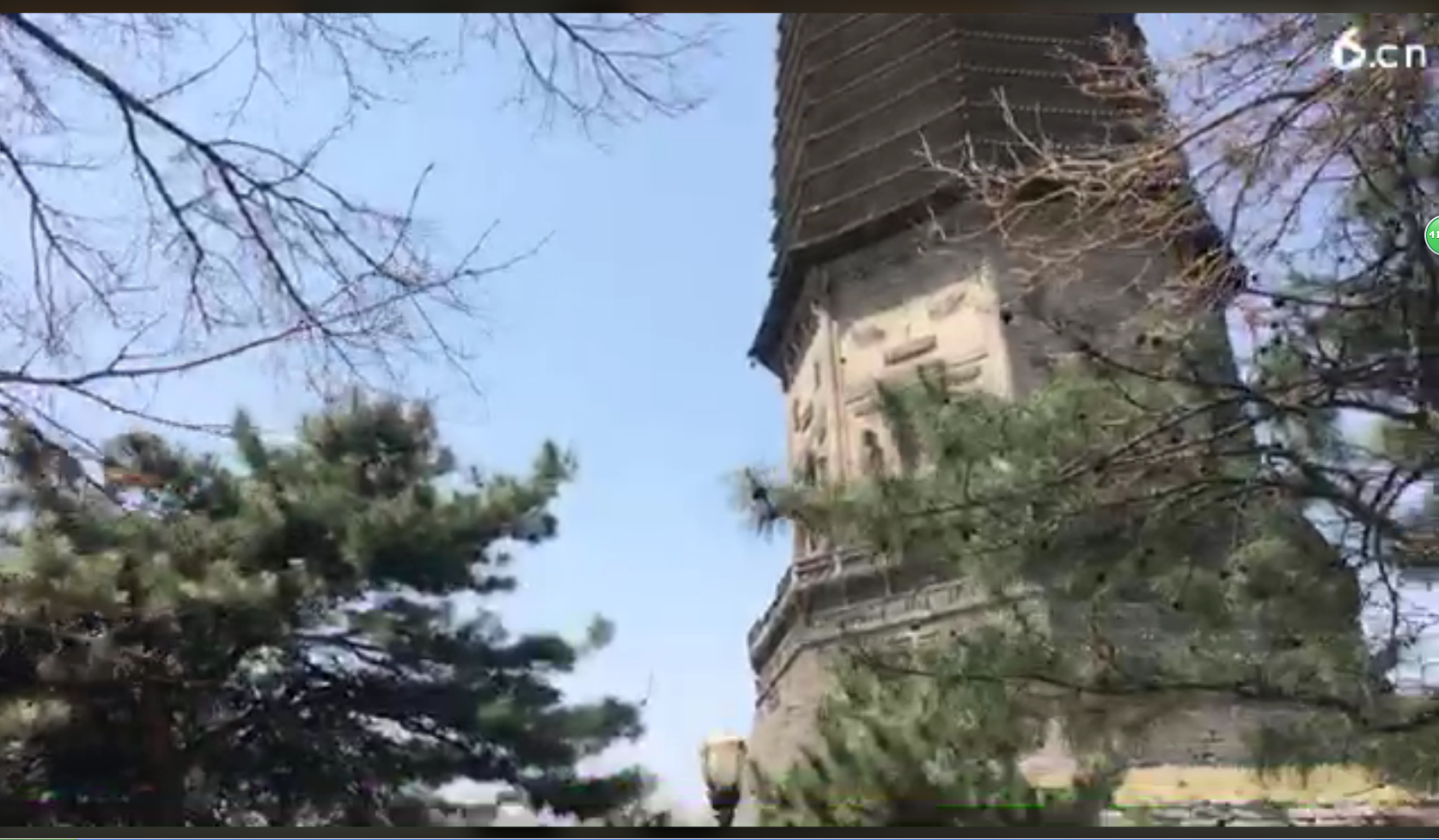 ╰つ子雲╰ゞ的图片