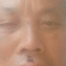东北乐乐130282的头像