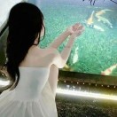点兒a