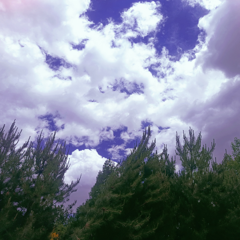 ゛✿洛洛✿海报