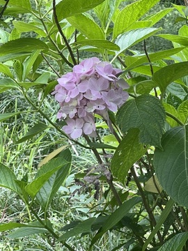 欣瑶/中午12-5主播照片
