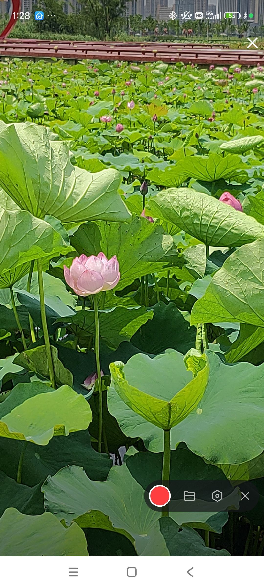 婷婷💕感恩有你陪伴的图片
