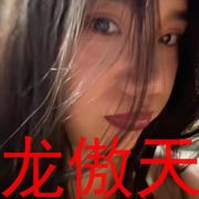 龙傲天不熬夜