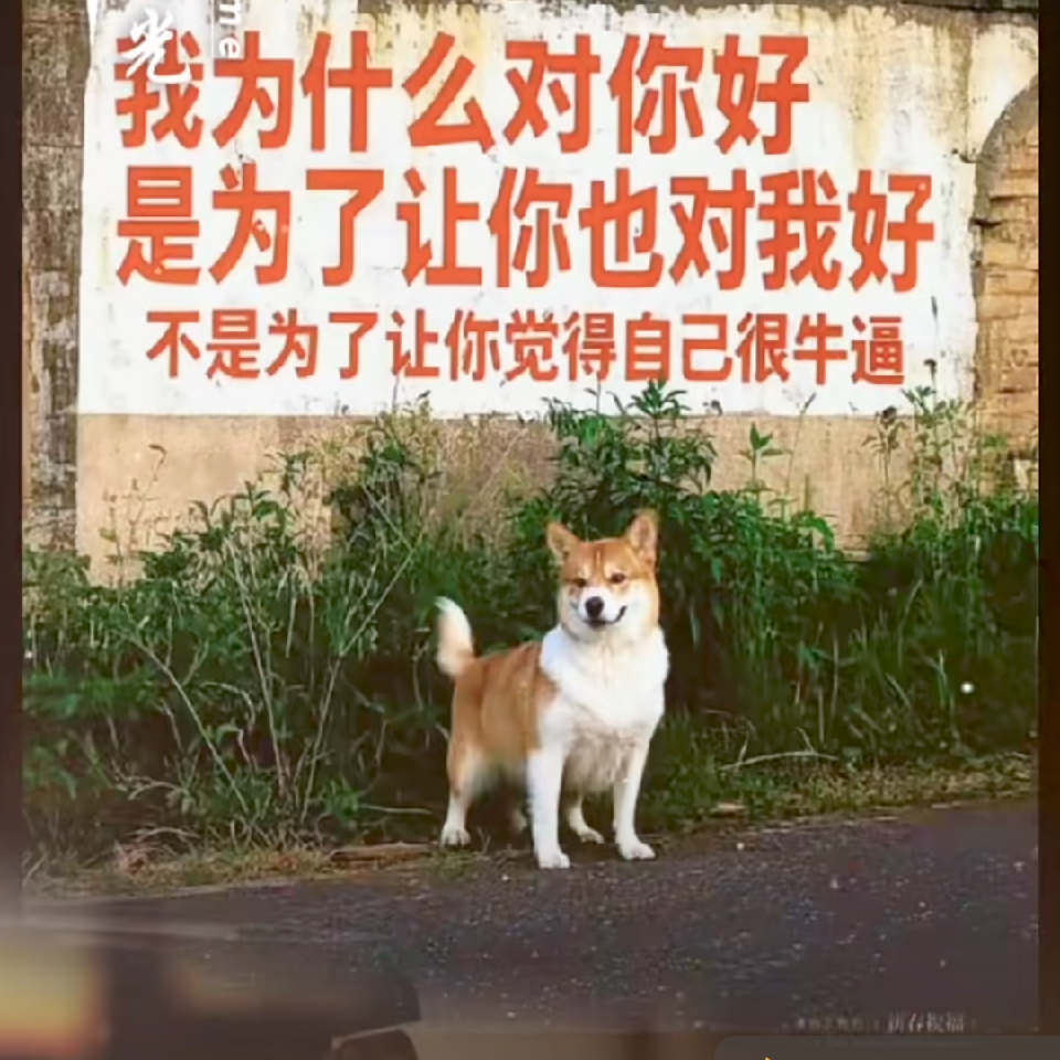 你的小脚丫真好看海报