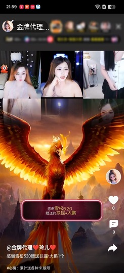 金牌代理❤玲儿❤主播照片