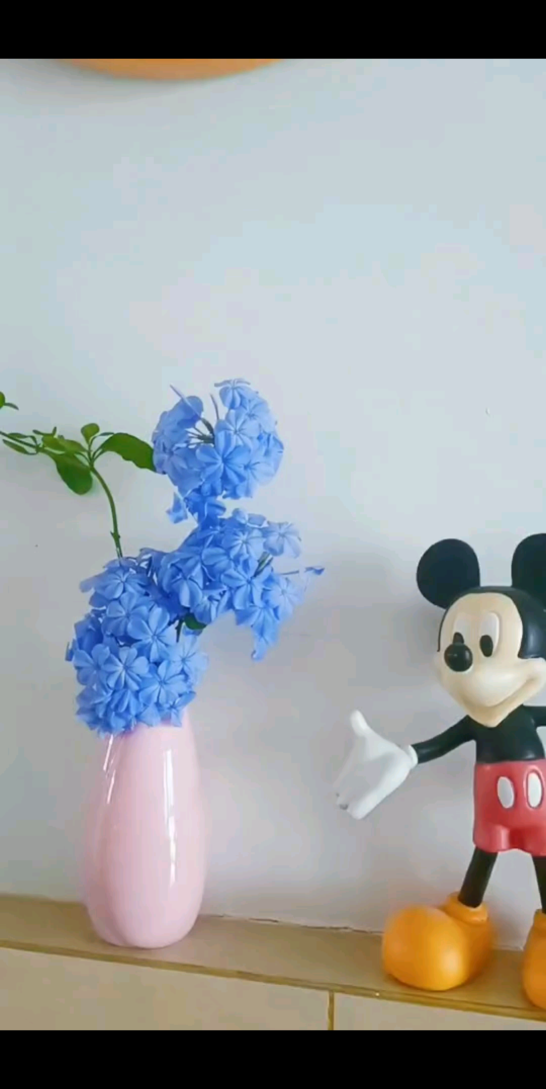 剪下几根枝条做个小瓶