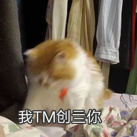 菜菜（好运来）主播照片