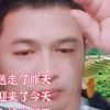 快乐很好h的头像