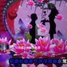 小白白