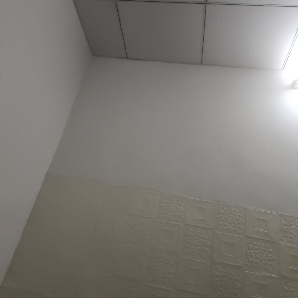 钟建平1375026海报