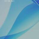 张国平s2