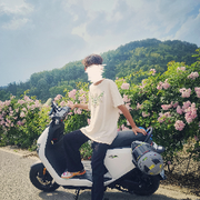 塑形的长颈鹿♪