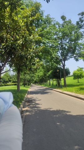 婷婷💕求过月底任务主播照片