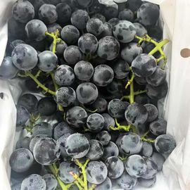 新❤哥🍎🍓的图片