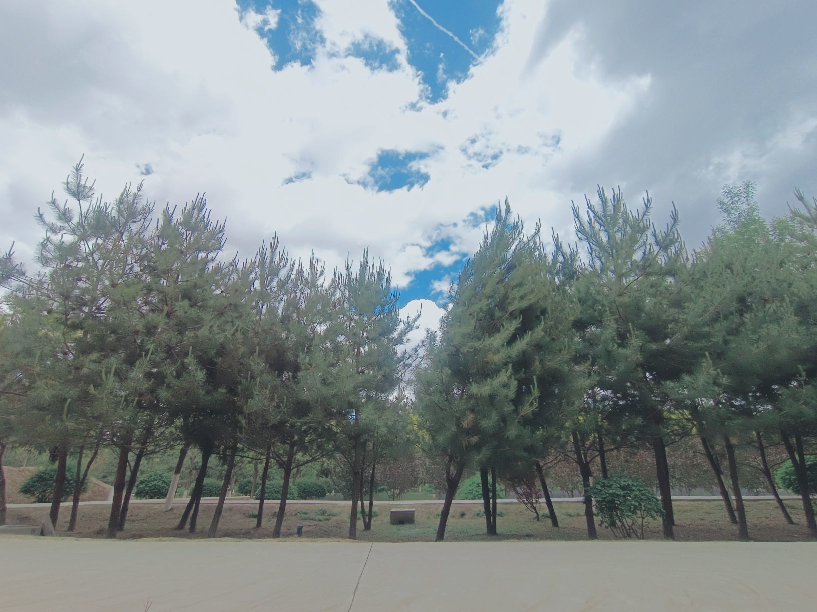 ゛✿洛洛✿的图片