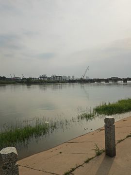 天王盖地虎044主播照片
