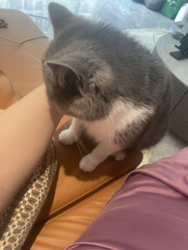 小圆宝随缘主播照片
