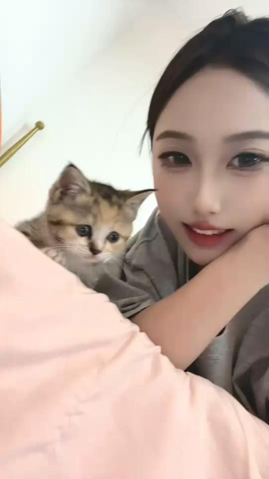 小猫小猫小猫小猫