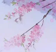墨冄九九主播照片