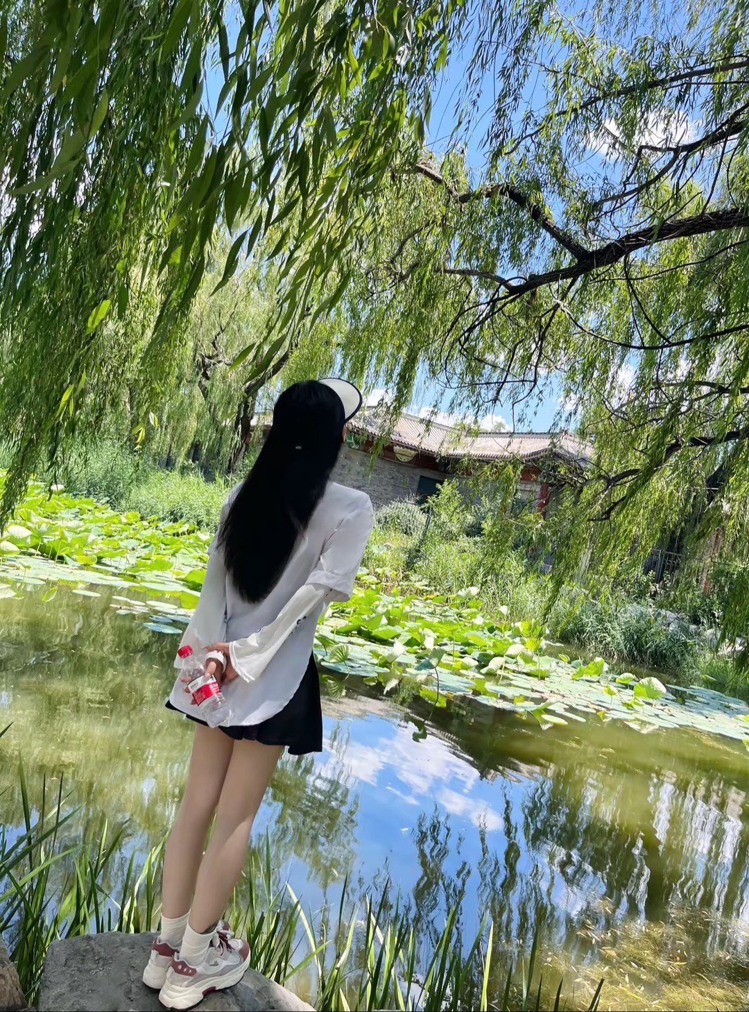 炫迈-y的图片