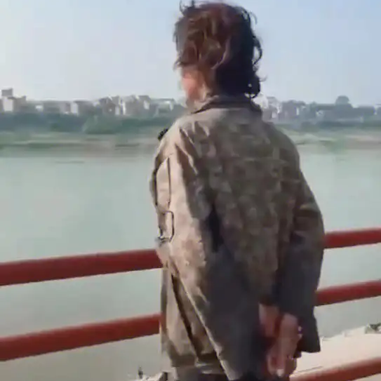 游客De飛楊海报