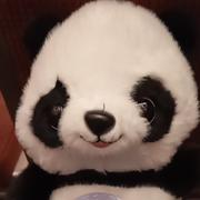 *紫氣来東*海报