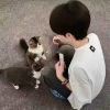 猫动喵