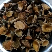 简简单单的麻阳佬