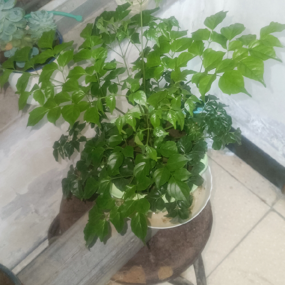 奋斗c2$海报