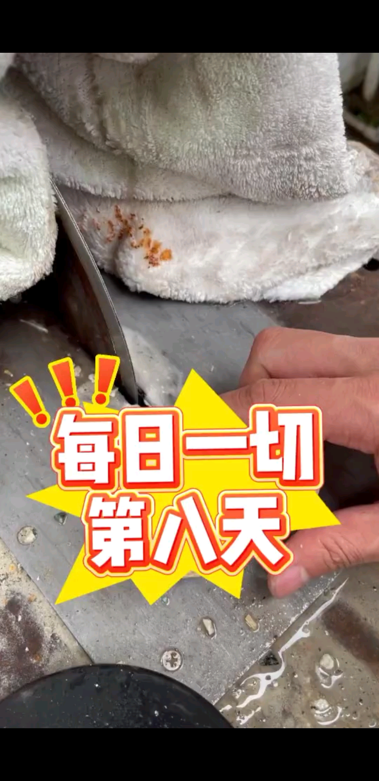 挑战切翡翠的第八天