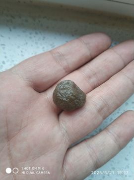 编-终主播照片