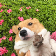 knfnkdkd的头像