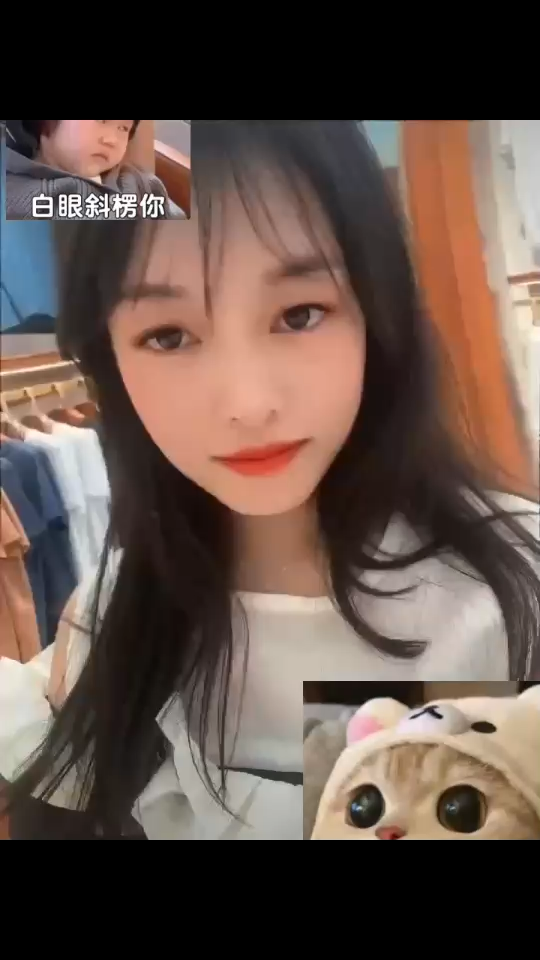 可爱猪