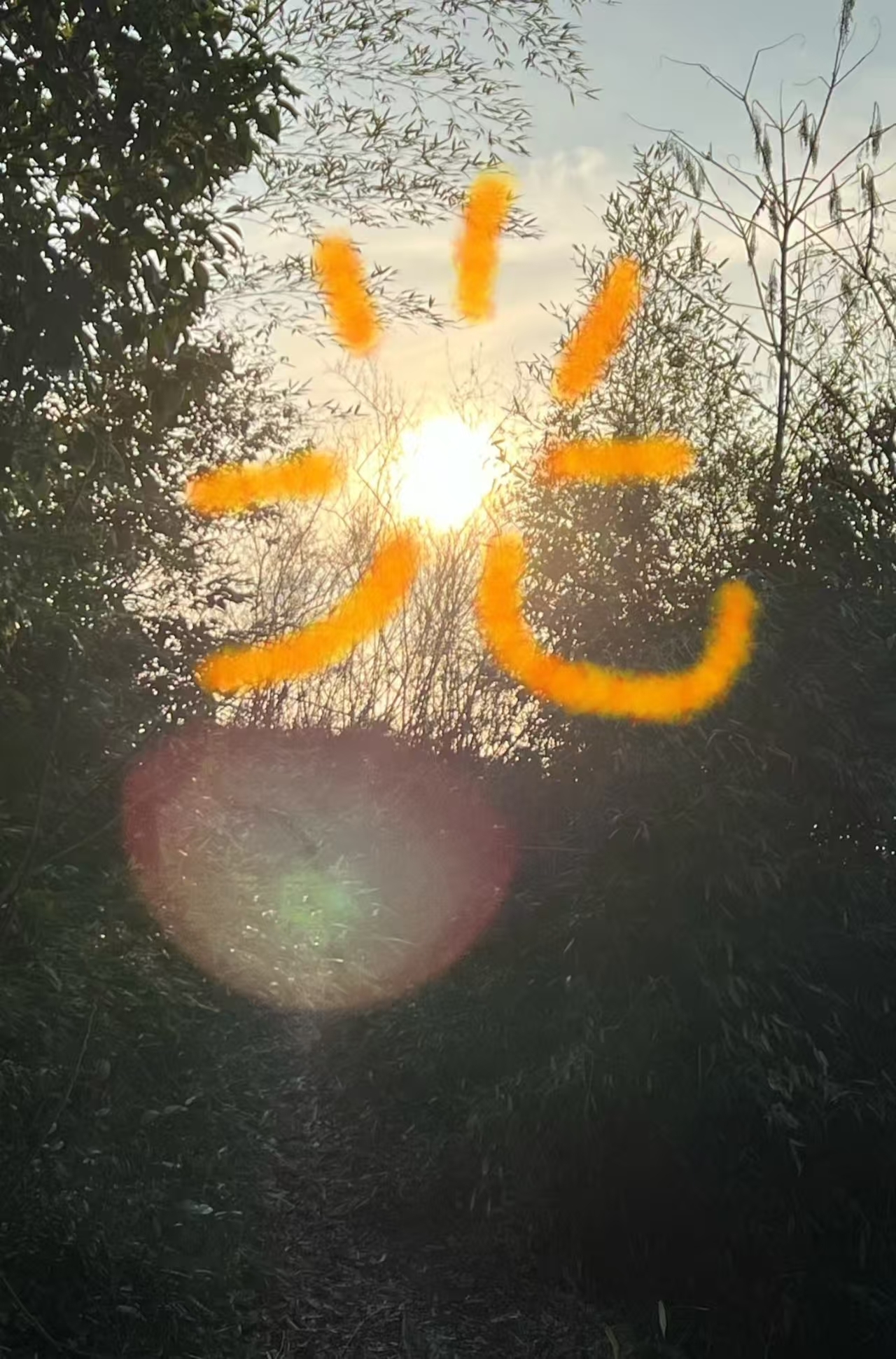 甜豆??點(diǎn)歌鋪的主播照片