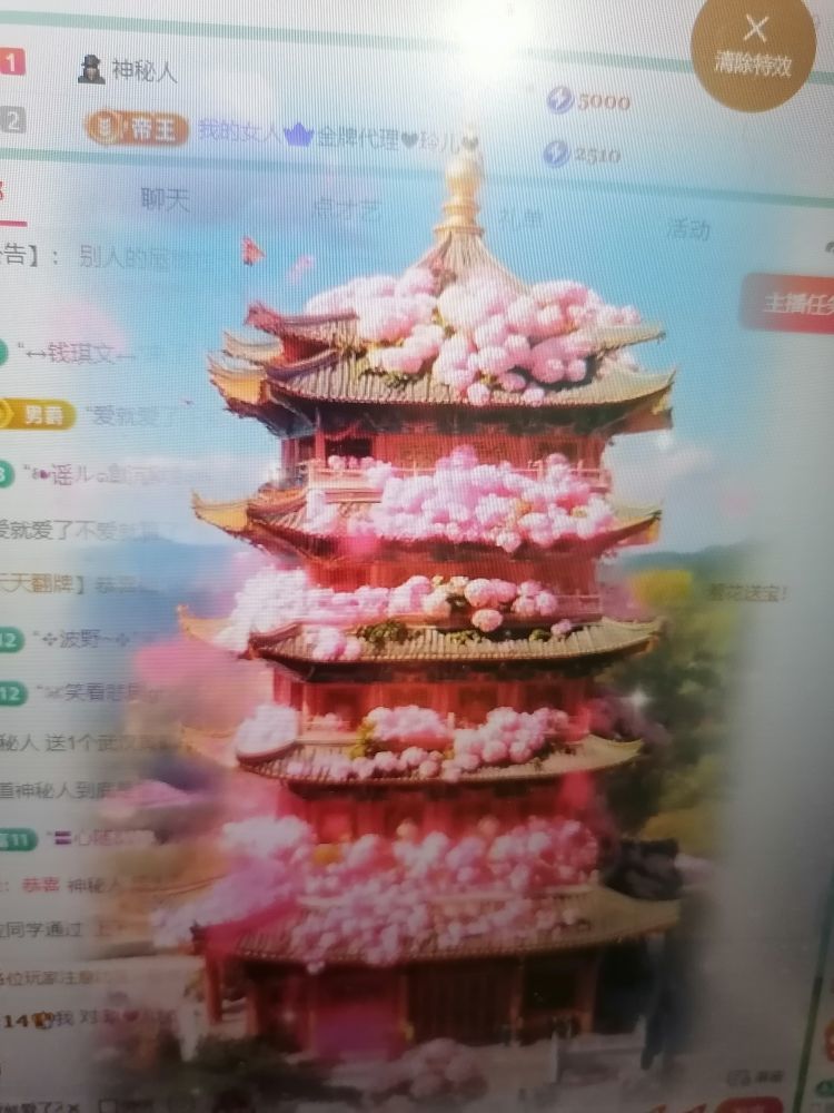 丑小鸭🌾一诺两世欢主播图片