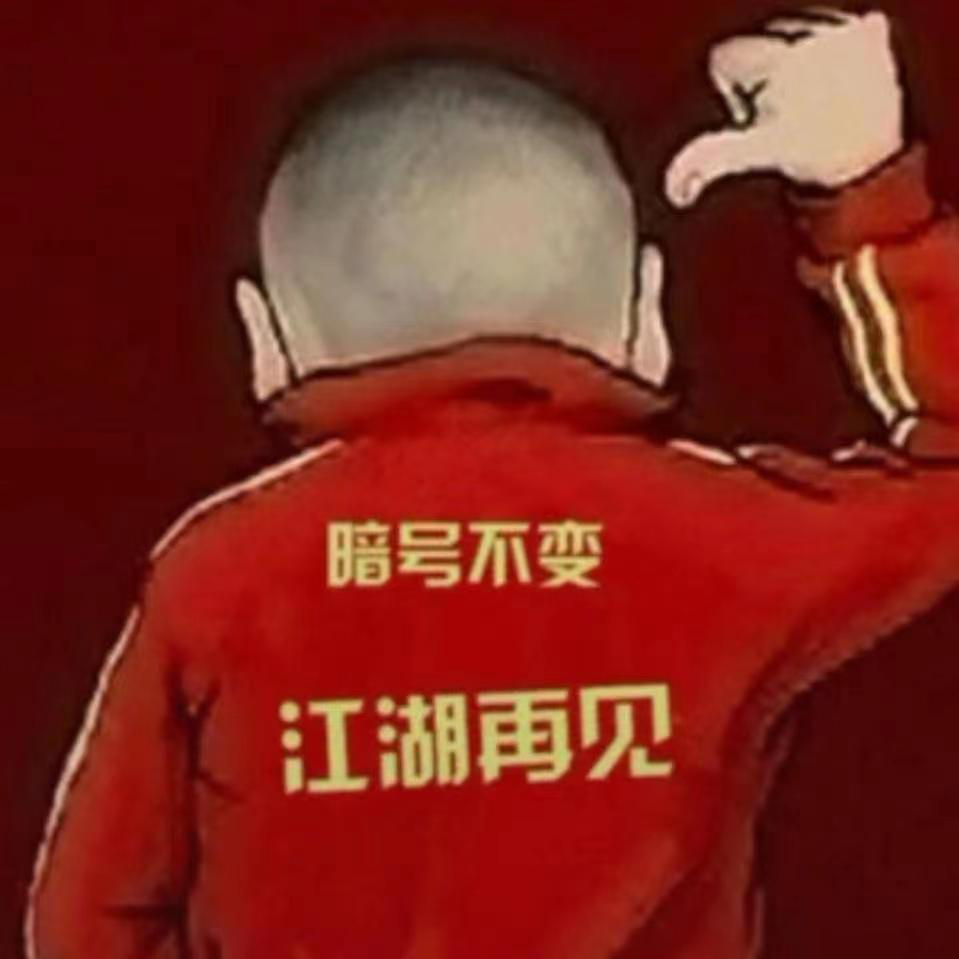 呆呆的初学者海报