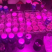 嘴对嘴的拥抱的头像