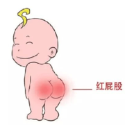 白茶🍎随心而行