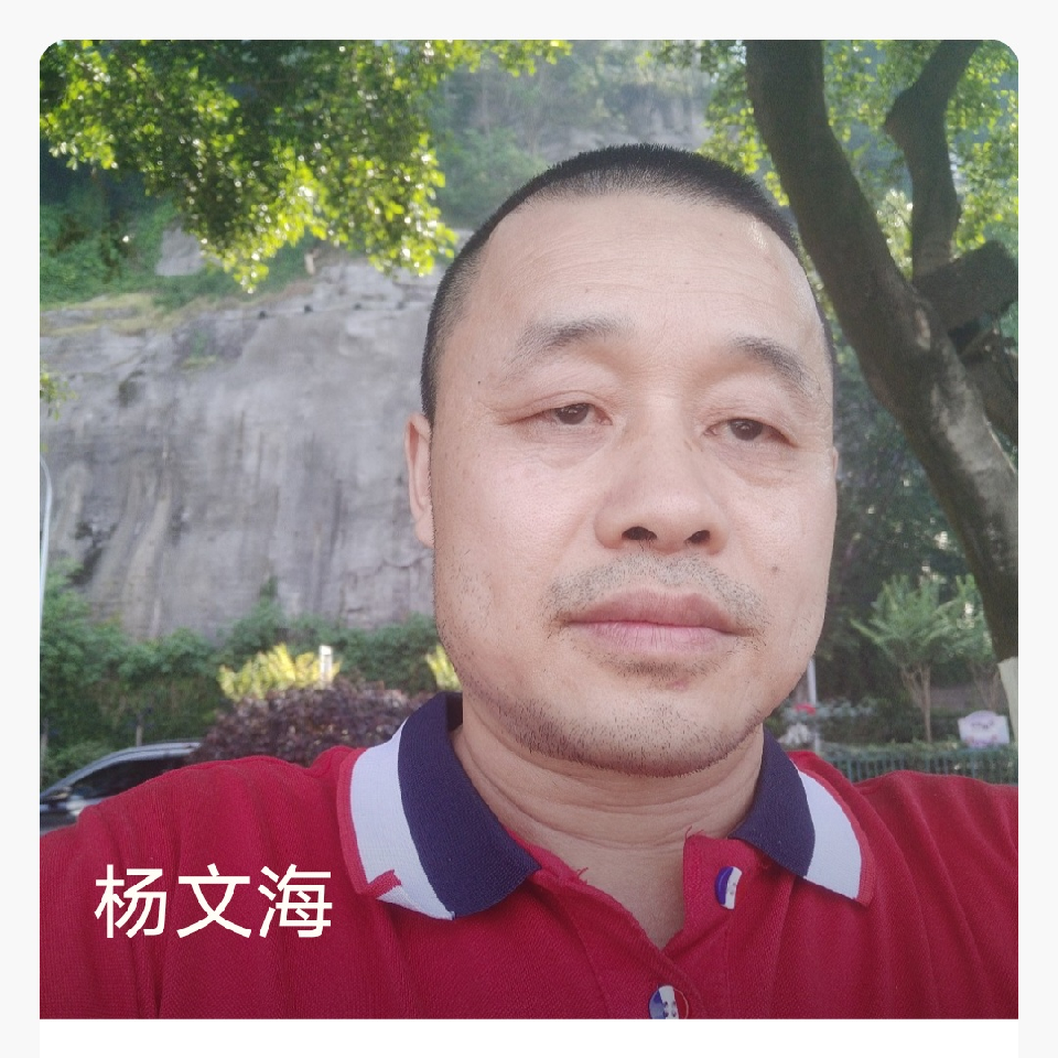 杨文海鼎流体育海报