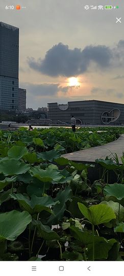 婷婷💕求过月底任务主播照片