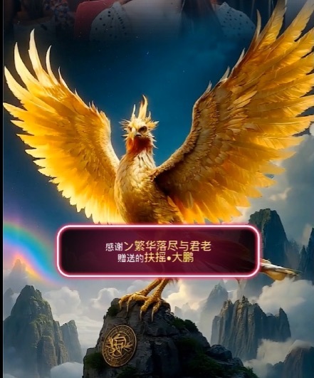 雯子～的主播照片