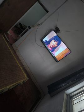 余冬冬yu的图片