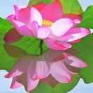 永芳a的頭像