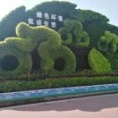 愛華tf的頭像