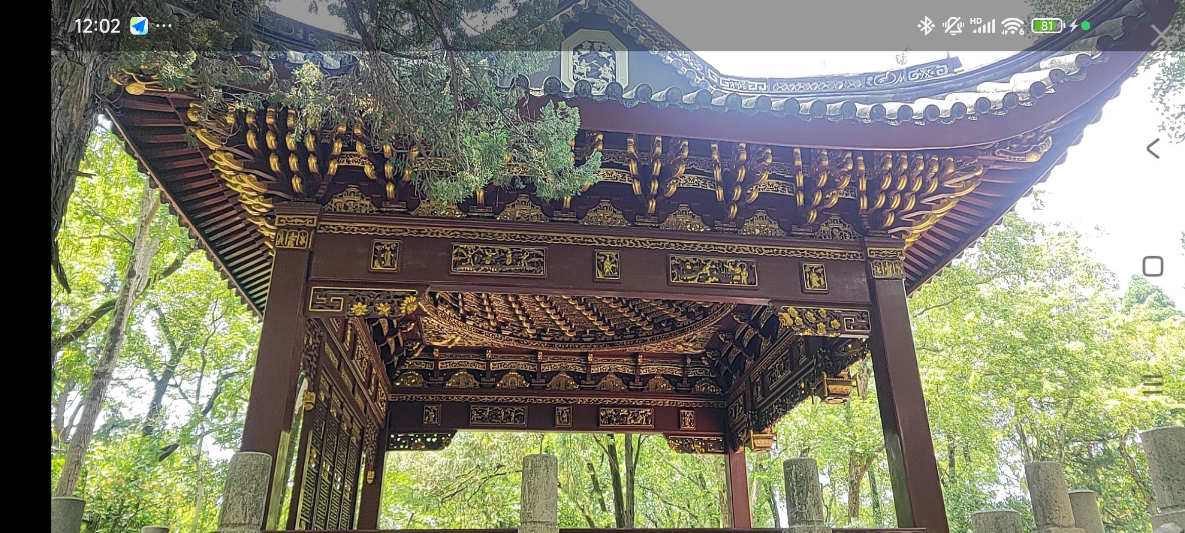 婷婷💕求过月底任务的图片